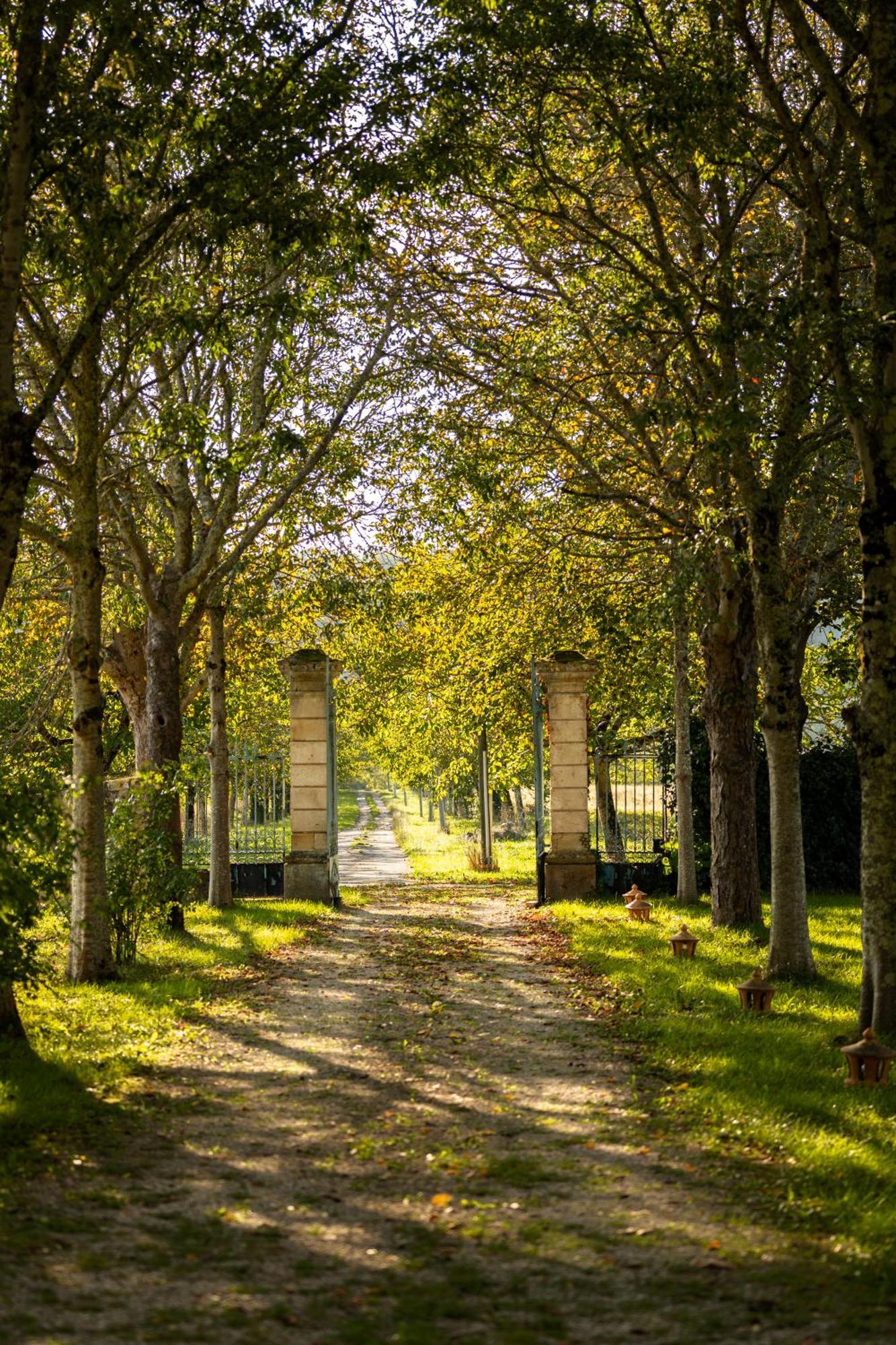 Chateau La Gineste - Castle And Vineyard Duravel Экстерьер фото
