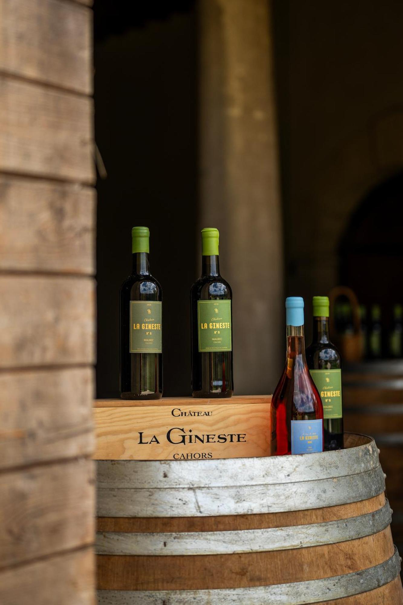 Chateau La Gineste - Castle And Vineyard Duravel Экстерьер фото